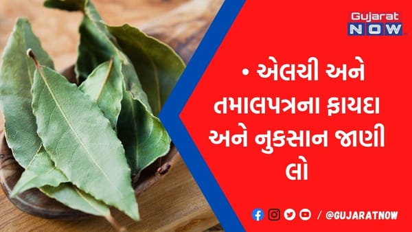 કાળી એલચી અને તમાલપત્ર સ્વાસ્થ્ય માટે કેટલાં ગુણકારી?