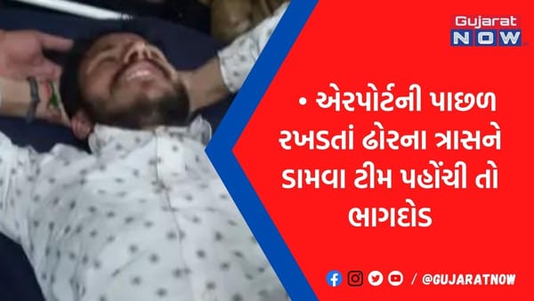 ઢોર પકડ પાર્ટી આવતા યુવાન પશુઓ હાંકવા ભાગ્યો, સ્કૂટર સ્લીપ થતાં ઈજા