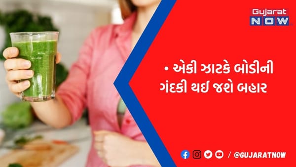 બધી ગંદકી એક ઝટકામાં થઈ જશે બહાર, બોડીને ડિટોક્સ કરવા બેસ્ટ છે આ 5 સુપર ડ્રિંક, આજથી જ શરૂ કરો સેવન