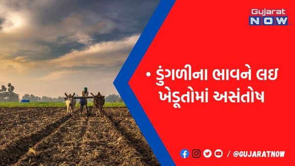 દિવસ-રાત મહેનતથી પાક પકવ્યો પણ છેલ્લે રાતાપાણીએ રોવાનો વારો, ભાવનગરમાં ખેડૂતોમાં ભારે નિરાશા