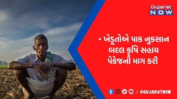 'ખેતર કઠણ પડ્યા છે, પૈસા વગર જમીન ખેડયા વગરની પડી છે.!'