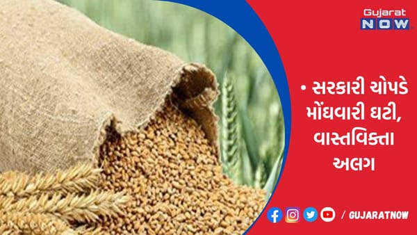 મોંઘવારી ઘઉં લોટની કિંમત 40% વધી સરકાર સ્ટોક રજૂ નહીં કરે તો ભાવ વધશે