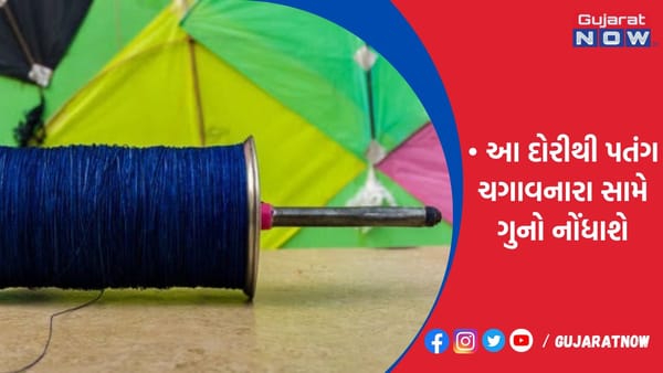 ધોંસ વધતા ફેક એકાઉન્ટથી ચાઇનીઝ દોરીનું વેચાણ