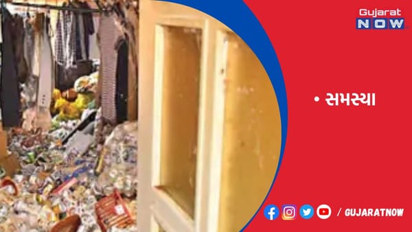 જાપાનમાં લોકોએ ઘરને જ કચરાપેટી બનાવી, મૃત્યુ બાદ મહિનાઓ સુધી ખબર પડતી નથી