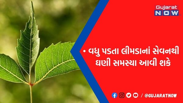આયુર્વેદિક ગુણોથી ભરપૂર લીમડાનું વધુ માત્રામાં સેવન નુકશાનકારક