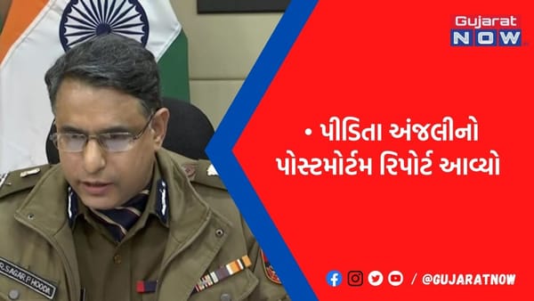 'દિલ્હીની દીકરી' સાથે રેપ નહીં, પોસ્ટ મોર્ટમ રિપોર્ટમાં જણાવાયું મોતનું કારણ
