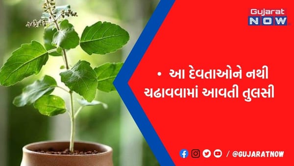 આ દેવતાઓને તુલસી અર્પણ કરવાથી જીવનમાં આવી શકે છે મુશ્કેલી, કરવો પડશે તેમના ક્રોધનો સામનો