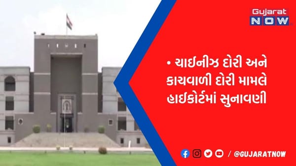 ચાઇનીઝ દોરી મામલે હાઇકોર્ટે ગુજરાત સરકારને તતડાવી, 24 કલાકમાં નવેસરથી સોગંદનામું કરવા આદેશ, જાણો સમગ્ર મામલો