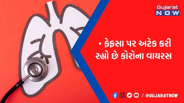 શું તમારા ફેફસાં પડી ગયા છે કમજોર! તો આજથી અપનાવો આ ઘરગથ્થુ ઇલાજ, કોરોના કંઇ જ નહીં બગાડી શકે