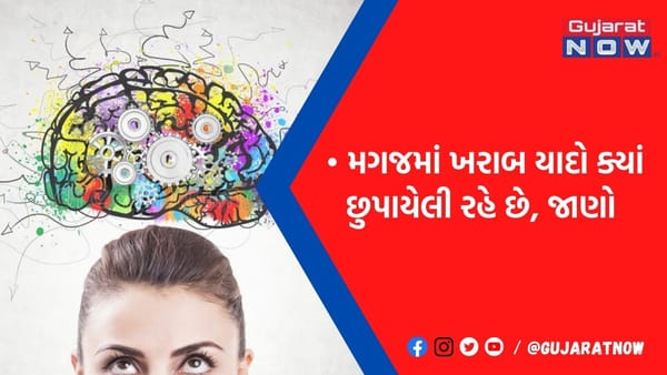 મગજના આ હિસ્સામાં ઘર કરીને રહે છે ખરાબ અને ડરામણી યાદો, કેમ સમયાંતરે આવે છે બહાર? જાણો