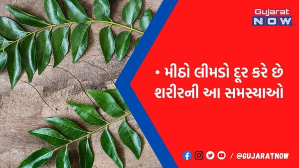 ભોજનમાં કેમ નાંખવામાં આવે છે મીઠો લીમડો?: ડાયાબિટીસથી લઈ સ્કીન કેર સુધી, મળે છે આ 5 ફાયદા