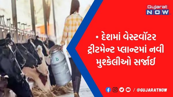 ઘરોમાં એન્ટિબાયોટિક પાણી પહોંચી રહ્યું છે, દવાઓની અસર પણ ઘટી