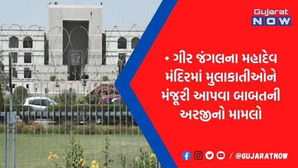 ફોરેસ્ટ એરિયા પ્રાણીઓ માટે હોય છે, મુલાકાતીઓ માટે નહીં, જંગલ વિસ્તારમાં આવેલા મંદિરો મામલે ગુજ HCની ટિપ્પણી