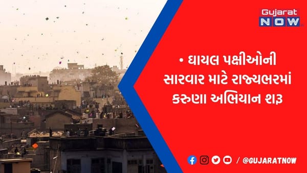 પતંગ રસિયાઓ જીવ દયા માટે આ સમયે પતંગ ન ઉડાવો