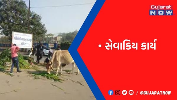 આણંદમાં ઉત્તરાયણ તહેવાર નિમિત્તે ઠેર-ઠેર ભાવિકોએ દાન પુણ્ય કર્યું