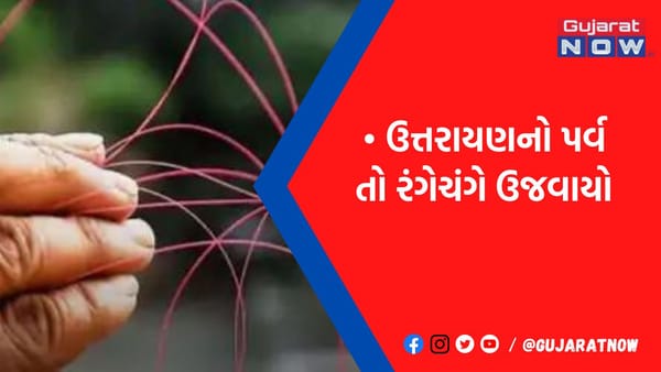 રાજ્યમાં દોરી બની કાતિલ, 6નાં કમકમાટીભર્યાં મોત