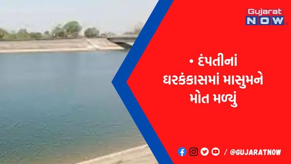 બે વર્ષના દીકરા સાથે ઝંપલાવ્યું, પુત્રનું મોત થતાં માતા સામે હત્યાનો ગુનો નોંધાયો