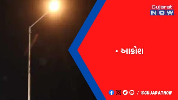 સોસાયટીના રહીશોએ ખર્ચ કરી રાતોરાત એલઇડી લાઇટો નખાવી