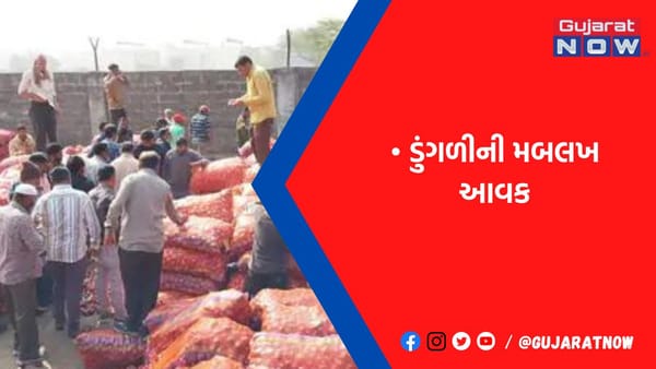 ગોંડલ માર્કેટિંગ યાર્ડમાં 70 હજાર ગુણી ડુંગળીની આવક નોંધાઈ