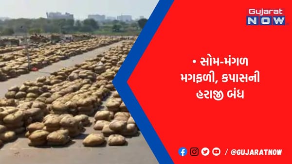 રાજકોટ યાર્ડમાં લાલ મરચાંની 14 હજાર ભારીની આવક થઈ