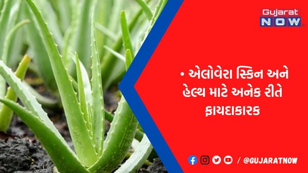 કબજિયાતથી લઈને દાંતની કેવિટી સુધી આ બીમારીઓ માટે રામબાણ છે એલોવેરા, જાણો કેવી રીતે કરશો સેવન