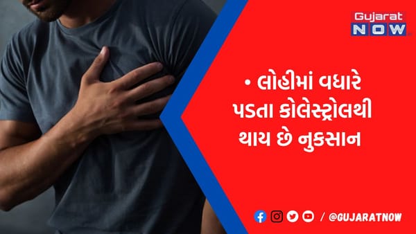 શરીરમાં અચાનક Bad Cholesterol વધવાથી આ અંગ થઈ શકે છે ડેમેજ, જાણો તેના નુકસાન વિશે