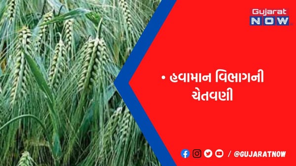 ગરમીથી પાકને ખતરાને લઇને કેન્દ્ર એલર્ટ, કૃષિ વિજ્ઞાનીઓ ફિલ્ડમાં ઉતર્યા