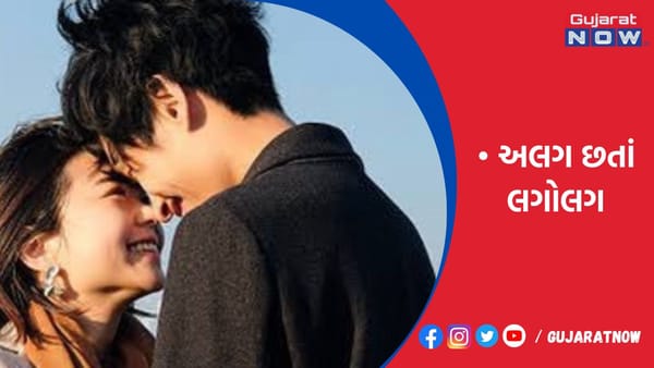 જાપાનમાં લગ્ન પછી અલગ રહીને પણ જોડાઇને રહેવાનો ટ્રેન્ડ!