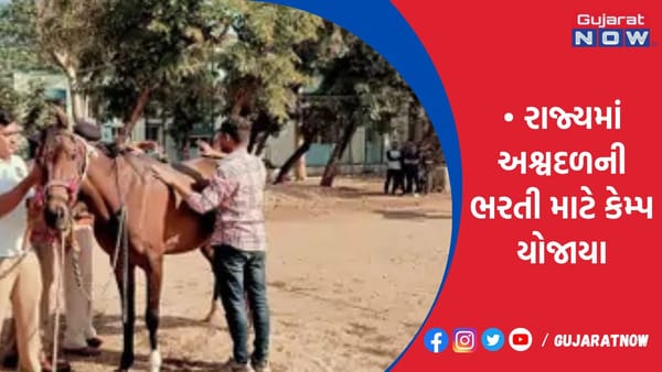 રાજ્યમાં અશ્વદળની ભરતી માટે કેમ્પ યોજાયા