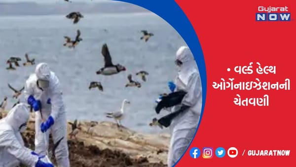 કોરોના બાદ હવે દુનિયા પર બર્ડ ફ્લૂથી મહામારી ફેલાવાનું જોખમ