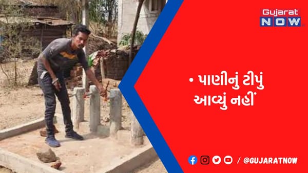 બોરવાણીમાં 40 ઘરોમાં 2-2 નળ હોવા છતાં પાણીનું ટીપું પણ નહીં