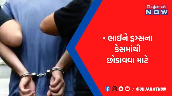 ટેક્સ કન્સલ્ટન્ટ સાથે 66 લાખની ઠગાઇમાં પિતા-પુત્રની ધરપકડ