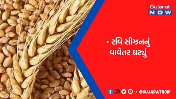 ગુજરાતમાં 44,72,822 હે.માં વાવણી ઘઉં, ચણા, જુવાર, જીરૂં અને શેરડીનું વાવેતર ઘટ્યું