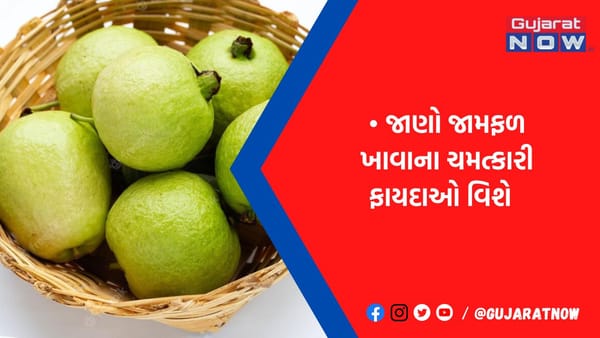 વજન ઘટાડવા માટે જામફળ છે ખૂબ જ ફાયકારક, જાણો સેવન કરવાથી મળતા ચમત્કારી ફાયદાઓ વિશે