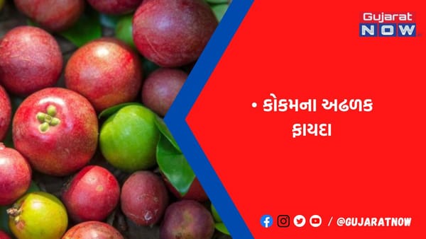 રોગ પ્રતિકારક શક્તિ વધશે તો કબજિયાત અને અપચામાં ફાયદાકારક, જાણો કોકમ ખાવાની સાચી રીત