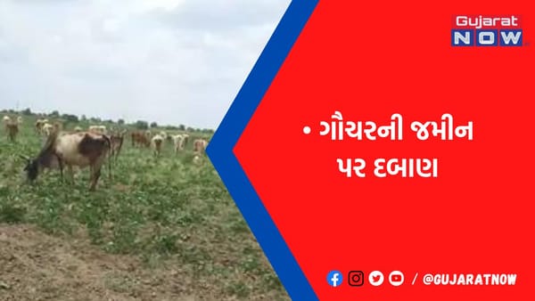 ગોંડલના ફક્ત પાંચ ગામડામાં 550 વીઘા ગૌચર પર દબાણ કરનાર 169 ભૂમાફિયાના નામ તંત્રે જાહેર કર્યા