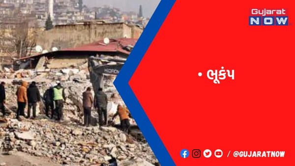 તુર્કિયેમાં બિલ્ડરોની ધરપકડ, નિષ્ણાતોએ કહ્યું- 10 % ઇમારતો જ માપદંડ મુજબ છે