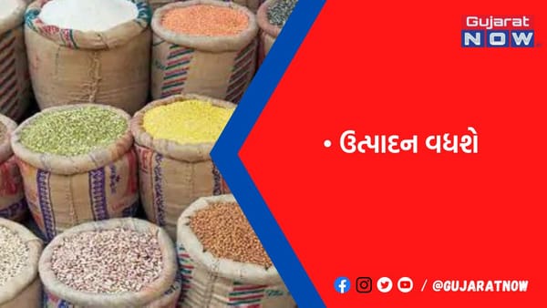 દેશમાં અનાજનું ઉત્પાદન 323 MTના સર્વાધિક સ્તરે પહોંચશે