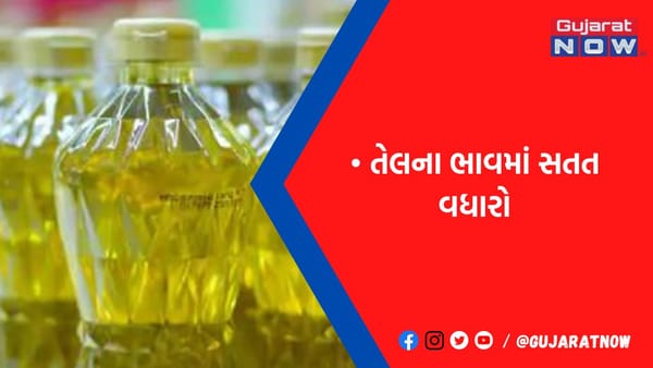 સિંગતેલનો ડબ્બો રૂ.3 હજારે પહોંચવામાં માત્ર રૂપિયા 60નું જ છેટું, કપાસિયામાં સ્થિર વલણ