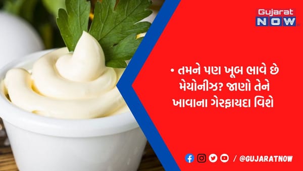 'સફેદ ઝેર' છે મેયોનીઝ, ચટકારા લઈને ખાતા પહેલા જાણી લો તેનાથી શરીરને થતા મોટા નુકસાન વિશે