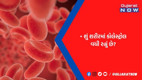 હાર્ટને રાખો હેલ્ધી: નસોમાં જામી ગયેલા કોલેસ્ટ્રોલને કાઢી ફેંકશે આ ચીજ, આજથી જ ખાવાનું કરો શરૂ