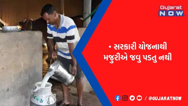 દુધની આવકથી મહિને મેળવી રહ્યો છે 70 હજારની આવક