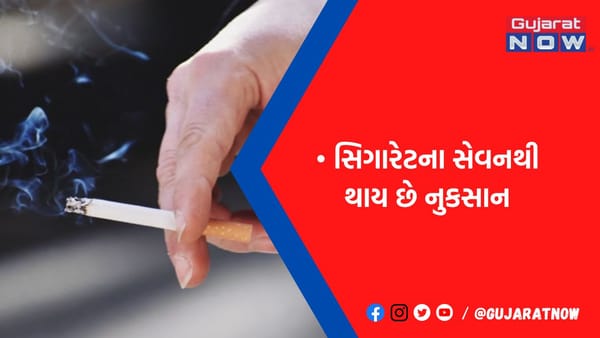 વધુ પડતી સિગારેટ પીવાની છે આદત? તો સાવધાન, આજથી જ ફેફસાંને હેલ્ધી રાખવા ડાયટમાં સામેલ કરો આ ચીજ