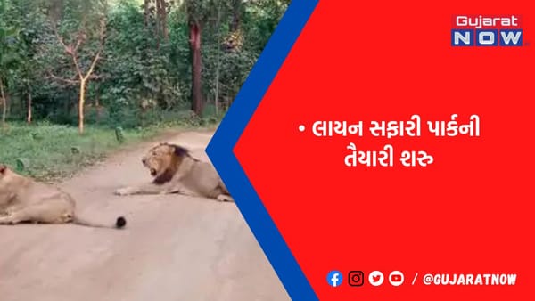 રાજકોટ મનપા 15 વર્ષ પહેલા વનવિભાગને આપેલી 8 હેકટર જમીન હસ્તગત કરશે