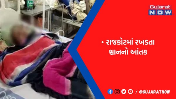 રસ્તા પર રમતા બાળકને બટકા ભર્યા, સ્થાનિકોએ મહામહેનતે બાળકને બચાવ્યુ