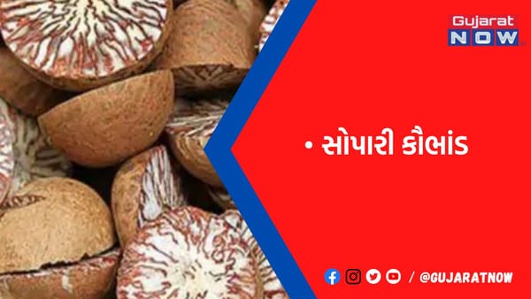 મુન્દ્રાના ગોદામમાંથી 1.56 કરોડનો માલ પકડાયા પછી હવે આ કૌભાંડ બહાર આવી રહ્યું છે