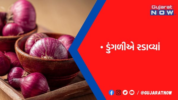 યાર્ડમાં 472 કિલો ડુંગળી વેચનાર ખેડૂતને રાતી પાઈ ન મળી, સામા રૂ.131 ચૂકવવા પડ્યા