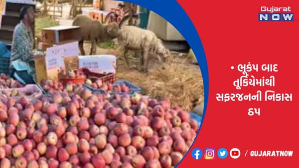 પડોશી દેશોમાં કાશ્મીરી સફરજનની માગ વધી