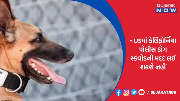 અશ્વેતોની ધરપકડમાં ભેદભાવનો આરોપ!