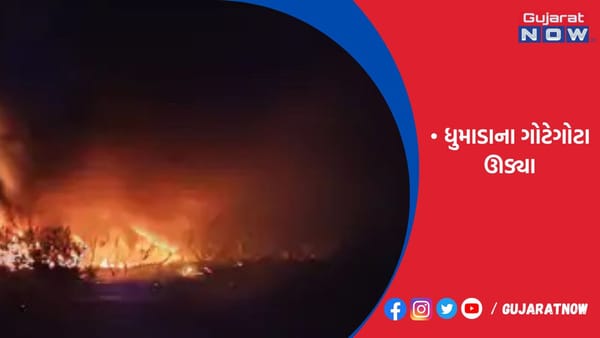 ગુંદાળા રોડ પર બંગડી સ્ક્રેપના કારખાનામાં વિકરાળ આગ લાગી